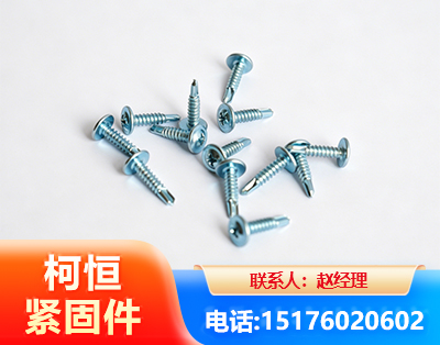 自贡华司钻尾丝