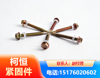 自贡六角钻尾丝